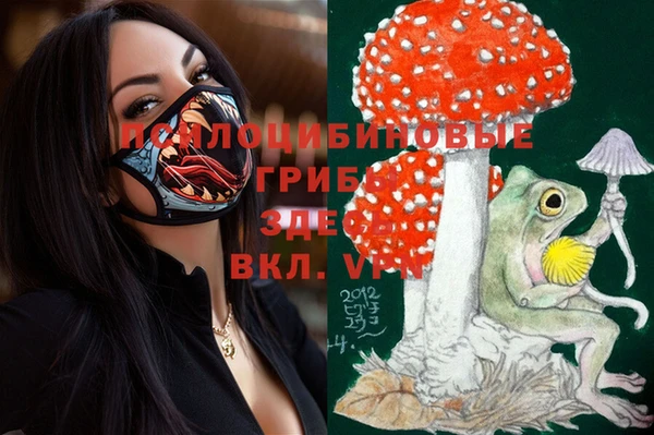 молекула духа Лабытнанги