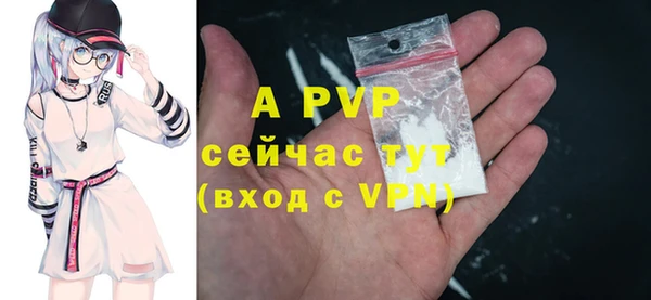 твердый Ладушкин