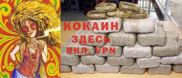 твердый Ладушкин