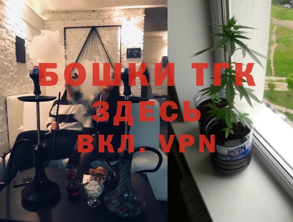 молекула духа Лабытнанги