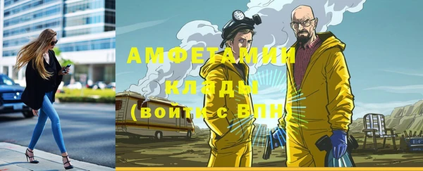 твердый Ладушкин
