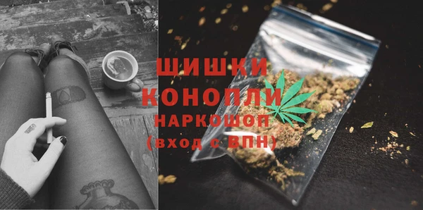 твердый Ладушкин