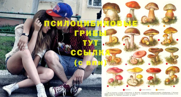 молекула духа Лабытнанги
