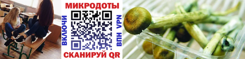 купить наркотики цена  MEGA как зайти  Галлюциногенные грибы прущие грибы  Бабаево 